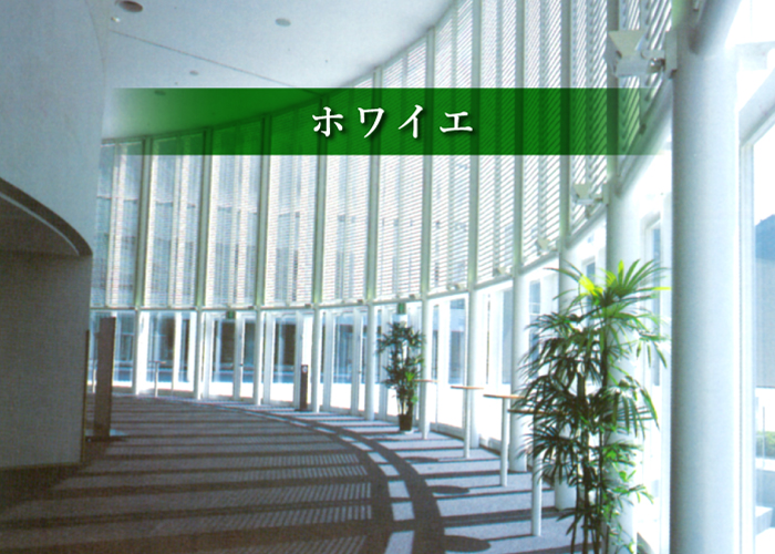 新見文化交流館（まなび広場にいみ）｜ホワイエ